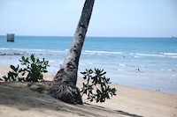 Sierra Leone