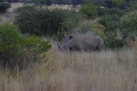 Swaziland