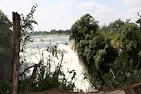 Zimbabwe