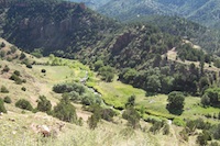 COS, Colorado