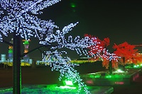 CTS, Sapporo