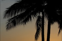 FLL, Fort Lauderdale