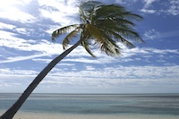 GUM, Guam