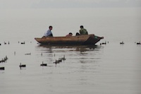 HGH, Hangzhou