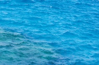 LGK, Langkawi