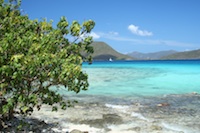 NEV, Nevis