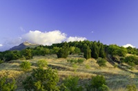 SIP, Simmferopol