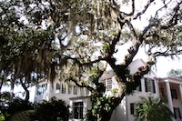 SRQ, Sarasota-Bradenton