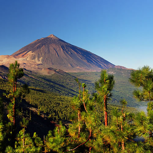 The Canary Islands